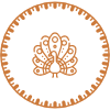 Counter Icon